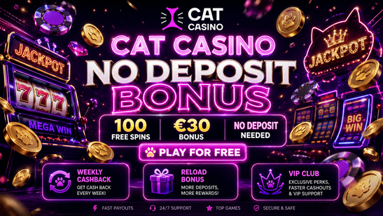 cat casino Gameplay